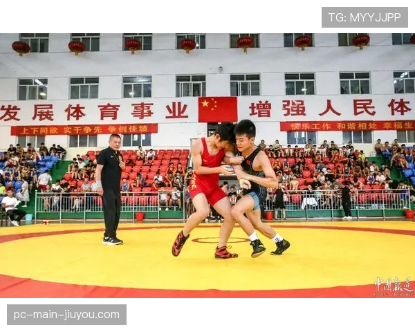 数据解读：顶尖自由式摔跤手的得分区域与成功抱腿率关联